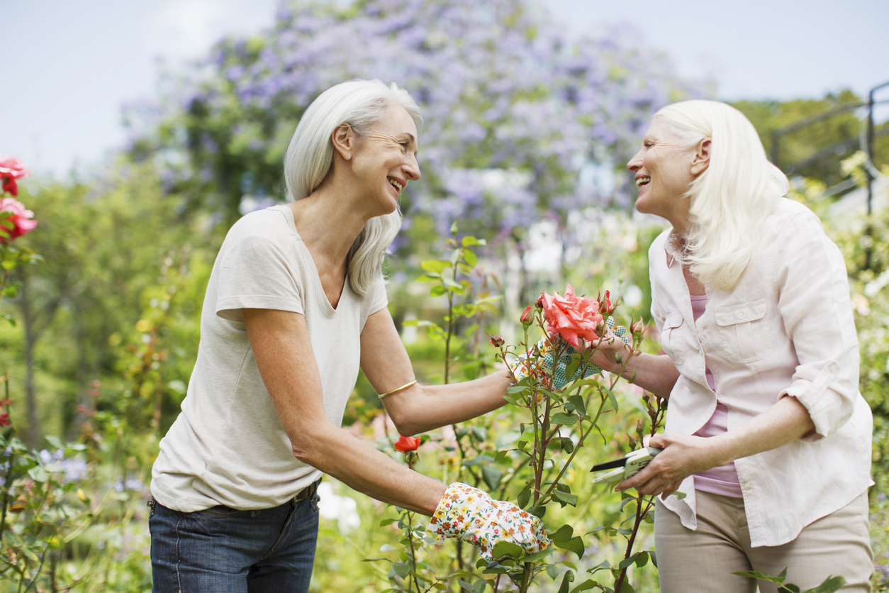 Des amis se rapprochent en plantant un jardin ensemble